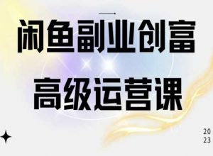 闲鱼电商运营高级课程,一部手机学会闲鱼开店赚钱-赚金金-技能学习分享