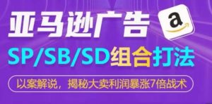 亚马逊SP/SB/SD广告组合打法,揭秘大卖利润暴涨7倍战术-赚金金-技能学习分享