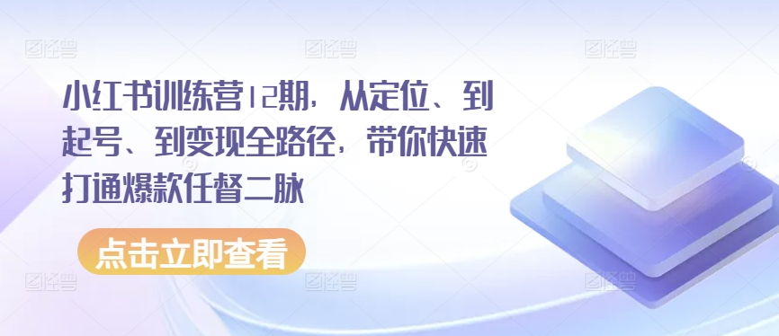 小红书训练营12期，从定位、到起号、到变现全路径，带你快速打通爆款任督二脉-赚金金-技能学习分享