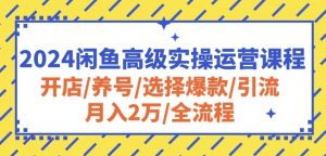 2024闲鱼高级实操运营课程:开店/养号/选择爆款/引流/月入2万/全流程-赚金金-技能学习分享