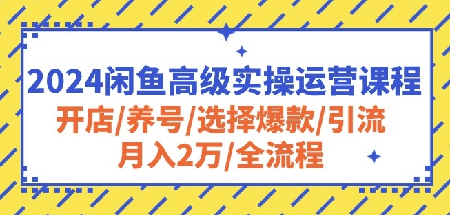 2024闲鱼高级实操运营课程：开店/养号/选择爆款/引流/月入2万/全流程-赚金金-技能学习分享