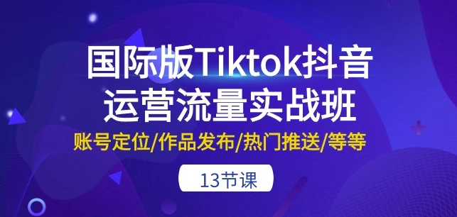 国际版Tiktok抖音运营流量实战班：账号定位/作品发布/热门推送/等等-13节-赚金金-技能学习分享