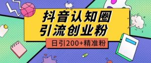 外面收费3980抖音认知圈引流创业粉玩法日引200+精准粉【揭秘】-赚金金-技能学习分享