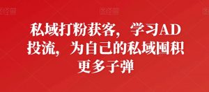 私域打粉获客，学习AD投流，为自己的私域囤积更多子弹-赚金金-技能学习分享