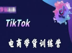 TikTok电商带货训练营，跟随时代潮流，跨境掘金-赚金金-技能学习分享