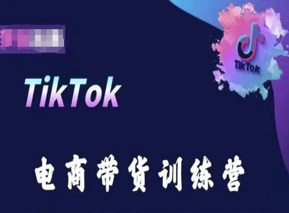 TikTok电商带货训练营，跟随时代潮流，跨境掘金-赚金金-技能学习分享