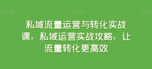 私域流量运营与转化实战课，私域运营实战攻略，让流量转化更高效-赚金金-技能学习分享