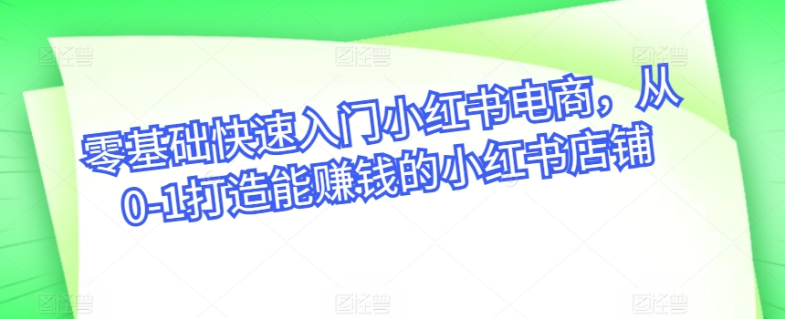 零基础快速入门小红书电商，从0-1打造能赚钱的小红书店铺-赚金金-技能学习分享