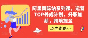 阿里国际站系列课,运营TOP养成计划,升职加薪,跨境掘金-赚金金-技能学习分享