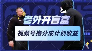 老外开盲盒视频,撸视频号分成计划收益,每天只需一小时,新手小白轻松上手【揭秘】-赚金金-技能学习分享