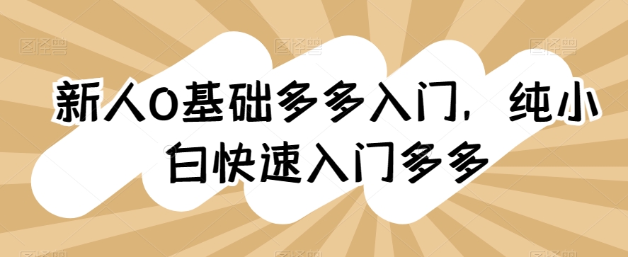 新人0基础多多入门,纯小白快速入门多多-赚金金-技能学习分享
