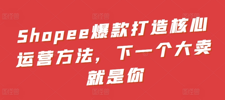Shopee爆款打造核心运营方法，下一个大卖就是你-赚金金-技能学习分享