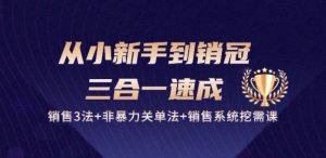 从小新手到销冠 三合一速成:销售3法+非暴力关单法+销售系统挖需课 (27节)-赚金金-技能学习分享