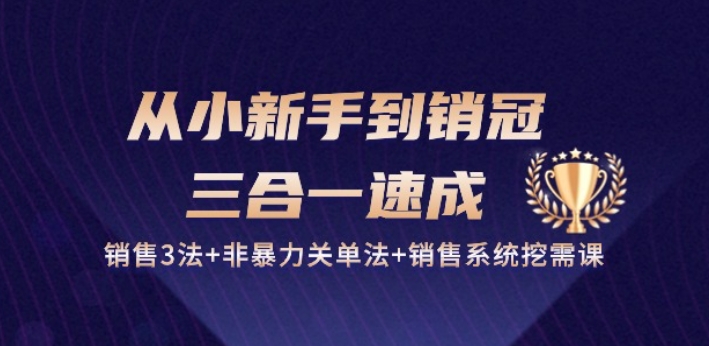 从小新手到销冠 三合一速成：销售3法+非暴力关单法+销售系统挖需课 (27节)-赚金金-技能学习分享