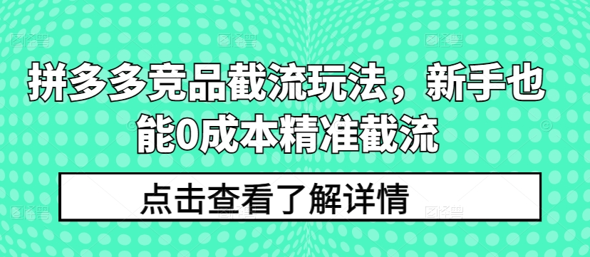 拼多多竞品截流玩法，新手也能0成本精准截流-赚金金-技能学习分享