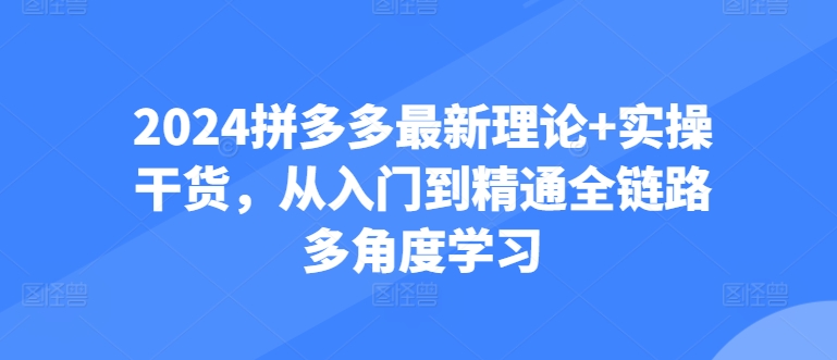 2024拼多多最新理论+实操干货,从入门到精通全链路多角度学习-赚金金-技能学习分享