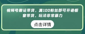 视频号搬运带货,满100粉丝即可开通橱窗带货,玩法非常暴力【揭秘】-赚金金-技能学习分享