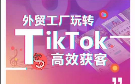外贸工厂玩转TikTok高效获客，多种引流方式与账号定位技巧，拆解爆款短视频打造成功案例-赚金金-技能学习分享