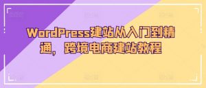 WordPress建站从入门到精通,跨境电商建站教程-赚金金-技能学习分享