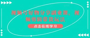 视频号好物分享副业课,视频剪辑带货玩法-赚金金-技能学习分享