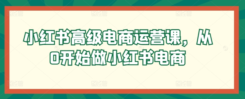 小红书高级电商运营课，从0开始做小红书电商-赚金金-技能学习分享