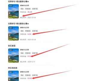 磁力聚星游戏副业陪跑训练营1.0,长期稳定项目,有人一周干了1K+-赚金金-技能学习分享