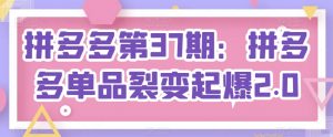 拼多多第37期:拼多多单品裂变起爆2.0-赚金金-技能学习分享