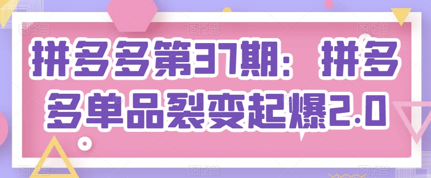 拼多多第37期：拼多多单品裂变起爆2.0-赚金金-技能学习分享