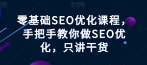 零基础SEO优化课程,手把手教你做SEO优化,只讲干货-赚金金-技能学习分享