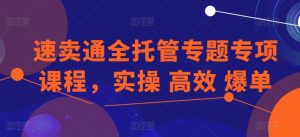 速卖通全托管专题专项课程，实操 高效 爆单-赚金金-技能学习分享