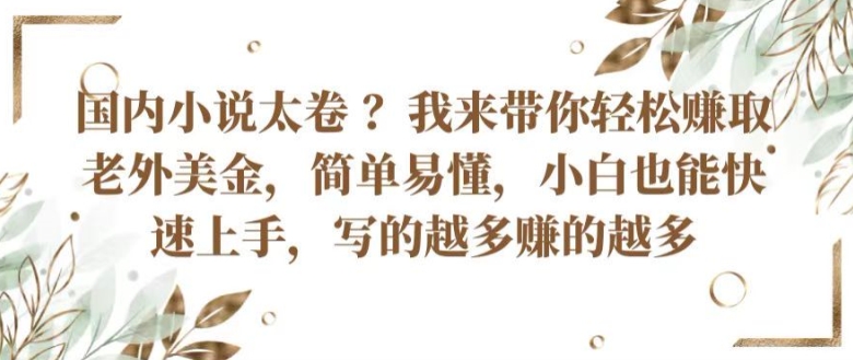 国内小说太卷 ?带你轻松赚取老外美金，简单易懂，小白也能快速上手，写的越多赚的越多【揭秘】-赚金金-技能学习分享