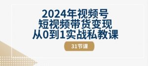 2024年视频号短视频带货变现从0到1实战私教课(31节视频课)-赚金金-技能学习分享