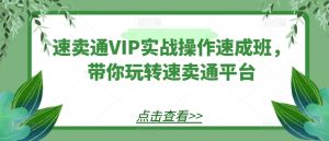 速卖通VIP实战操作速成班,带你玩转速卖通平台-赚金金-技能学习分享