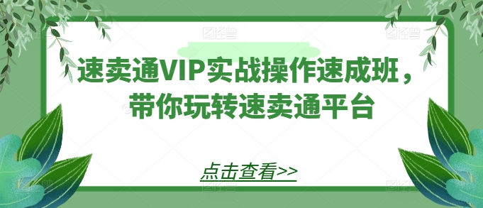 速卖通VIP实战操作速成班，带你玩转速卖通平台-赚金金-技能学习分享