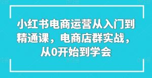 小红书电商运营从入门到精通课,电商店群实战,从0开始到学会-赚金金-技能学习分享