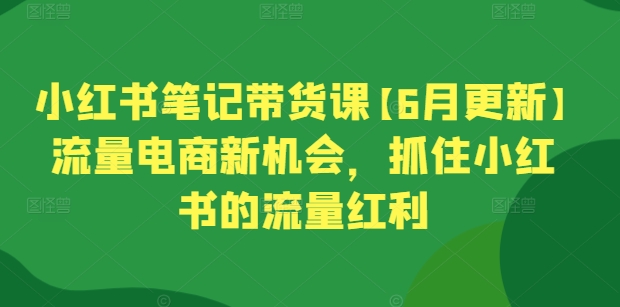小红书笔记带货课【6月更新】流量电商新机会，抓住小红书的流量红利-赚金金-技能学习分享