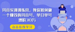 抖音实训训练营,教你如何做一个赚钱的抖音号,单日单号增粉30万-赚金金-技能学习分享