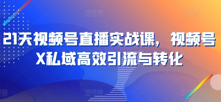 21天视频号直播实战课，视频号X私域高效引流与转化-赚金金-技能学习分享