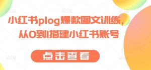 小红书plog爆款图文训练,从0到1搭建小红书账号-赚金金-技能学习分享