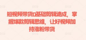 短视频带货0基础剪辑速成,掌握爆款剪辑思维,让好视频加持涨粉带货-赚金金-技能学习分享
