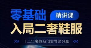 零基础入局二奢鞋服精讲课,十二年奢侈品创业导师分享-赚金金-技能学习分享