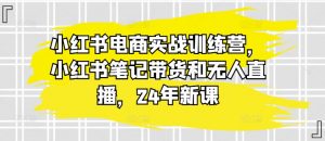 小红书电商实战训练营,小红书笔记带货和无人直播,24年新课-赚金金-技能学习分享