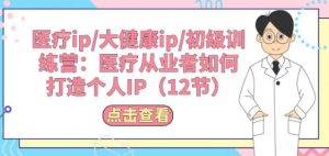 医疗ip/大健康ip/初级训练营:医疗从业者如何打造个人IP(12节)-赚金金-技能学习分享