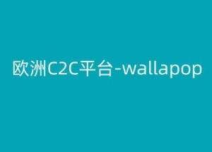 欧洲C2C平台-wallapop-kim跨境电商教程-赚金金-技能学习分享