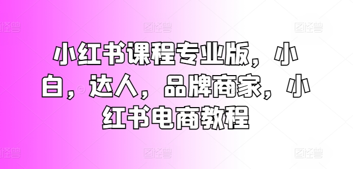 小红书课程专业版，小白，达人，品牌商家，小红书电商教程-赚金金-技能学习分享