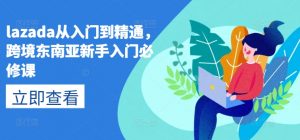 lazada从入门到精通,跨境东南亚新手入门必修课-赚金金-技能学习分享