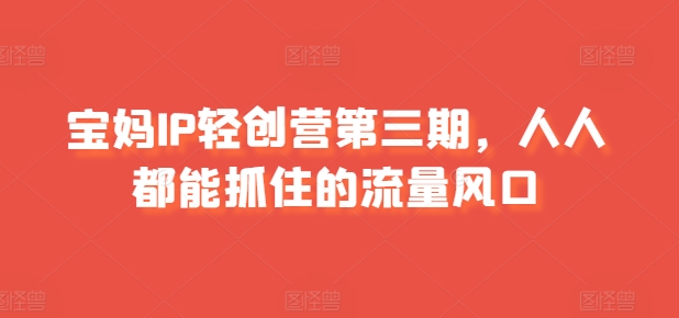 宝妈IP轻创营第三期，人人都能抓住的流量风口-赚金金-技能学习分享