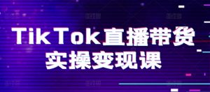 TikTok直播带货实操变现课:系统起号、科学复盘、变现链路、直播配置、小店操作流程、团队搭建等。-赚金金-技能学习分享