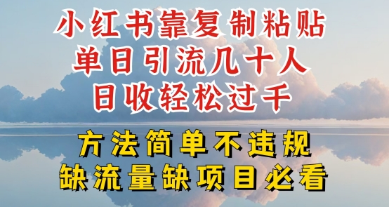 小红书靠复制粘贴单日引流几十人目收轻松过千，方法简单不违规【揭秘】-赚金金-技能学习分享