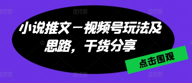 小说推文—视频号玩法及思路，干货分享-赚金金-技能学习分享